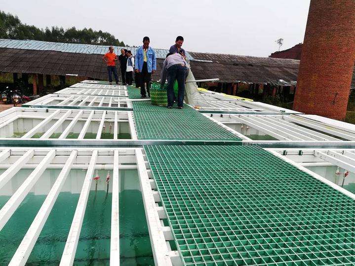 网箱养殖致富项目,发展网箱养鱼带动村民致富