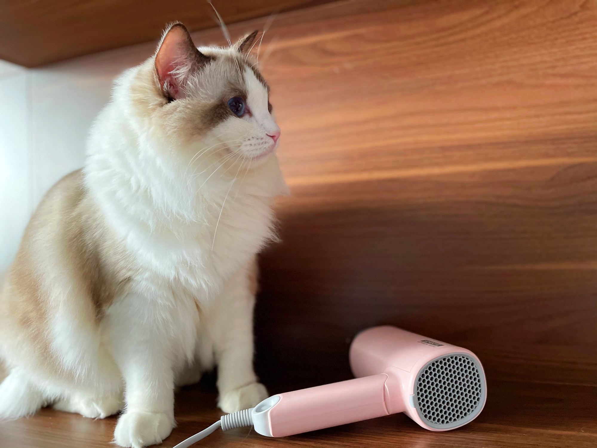 须眉电吹风机评测,须眉负离子吹风机