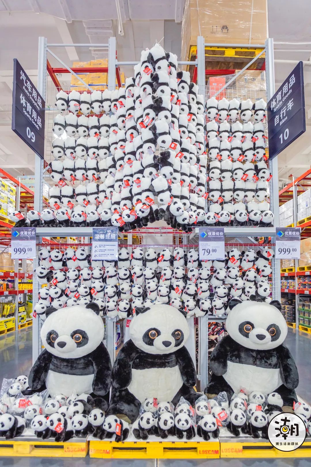 成都第一个山姆会员店,你为什么留在这座城市四川