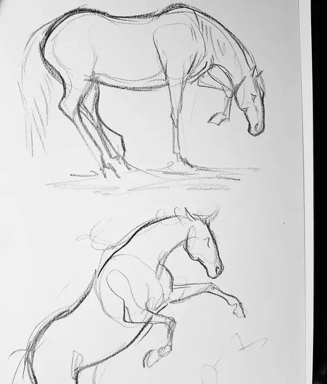 马怎么画简单图画,马怎么画更真实