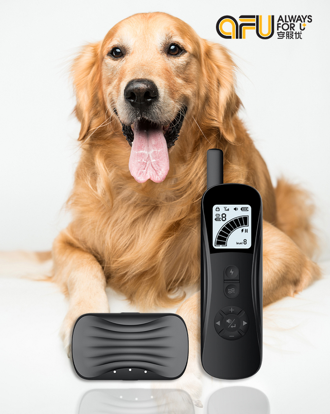 嵌入式开发应该从什么学起,嵌入式开发需要买什么