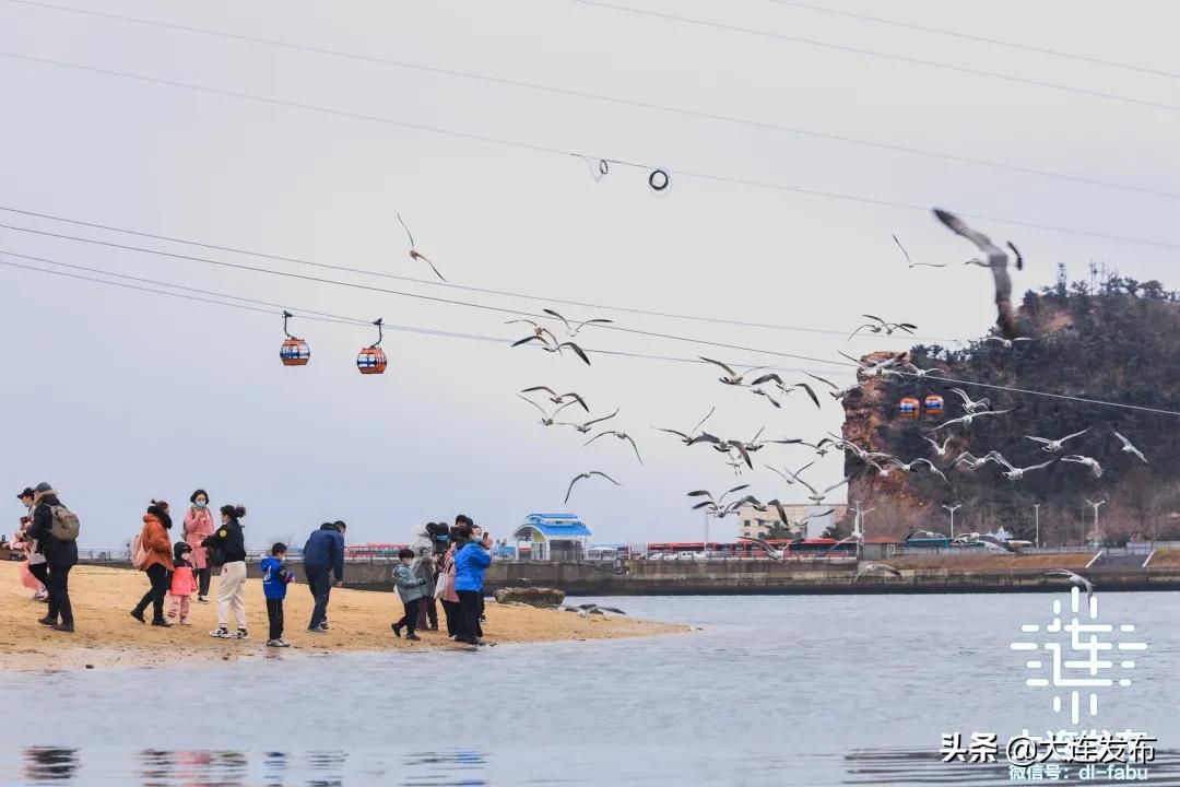 3天,64.03万,8.94亿元