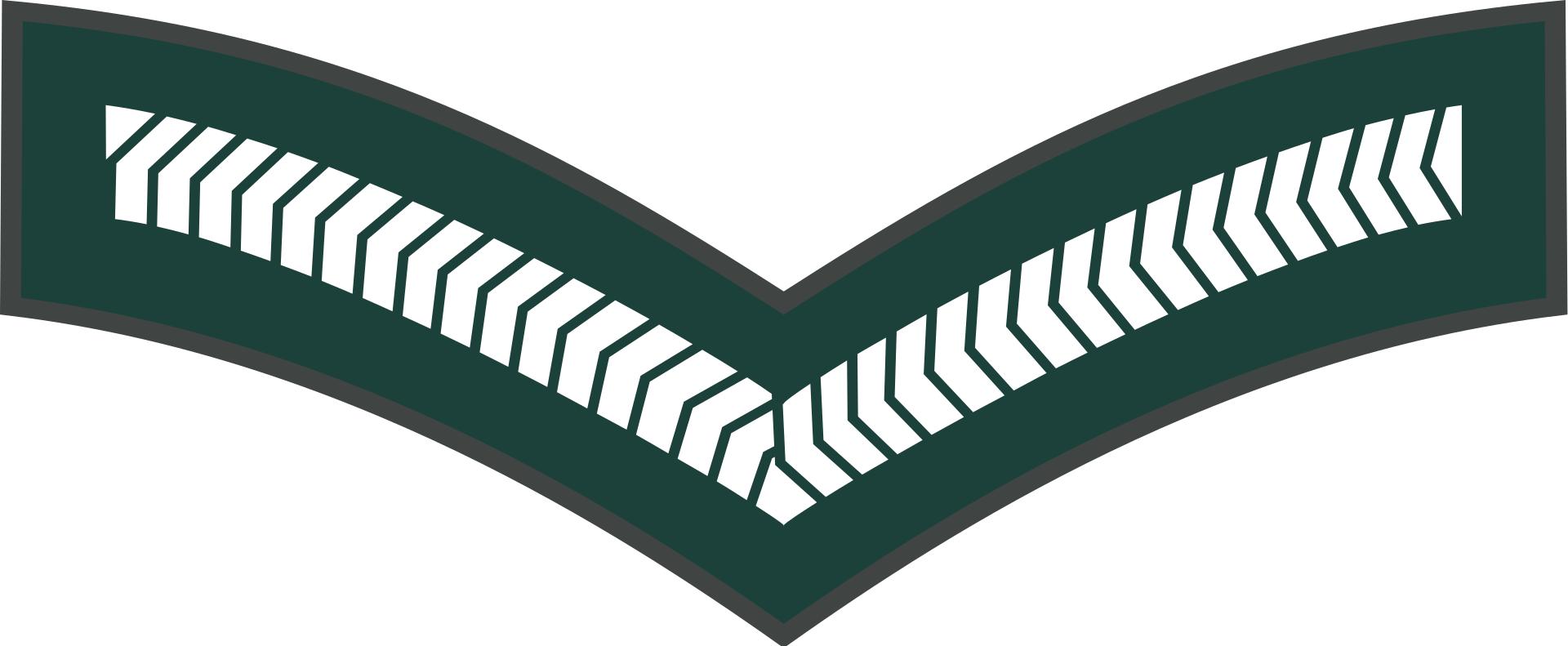 西亚各国军衔,各国军衔标识坦桑尼亚