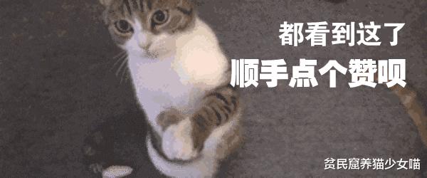 猫咪拉肚子医生给了益生菌,猫咪拉稀喂蒙脱石散需要禁食吗