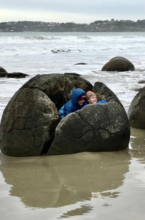 新西兰海边的巨石蛋,新西兰海滩神秘生物