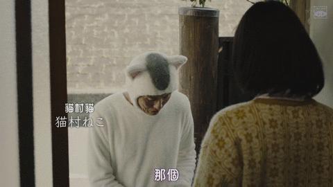 那个孤独的美食家，改行做了猫界家政妇。