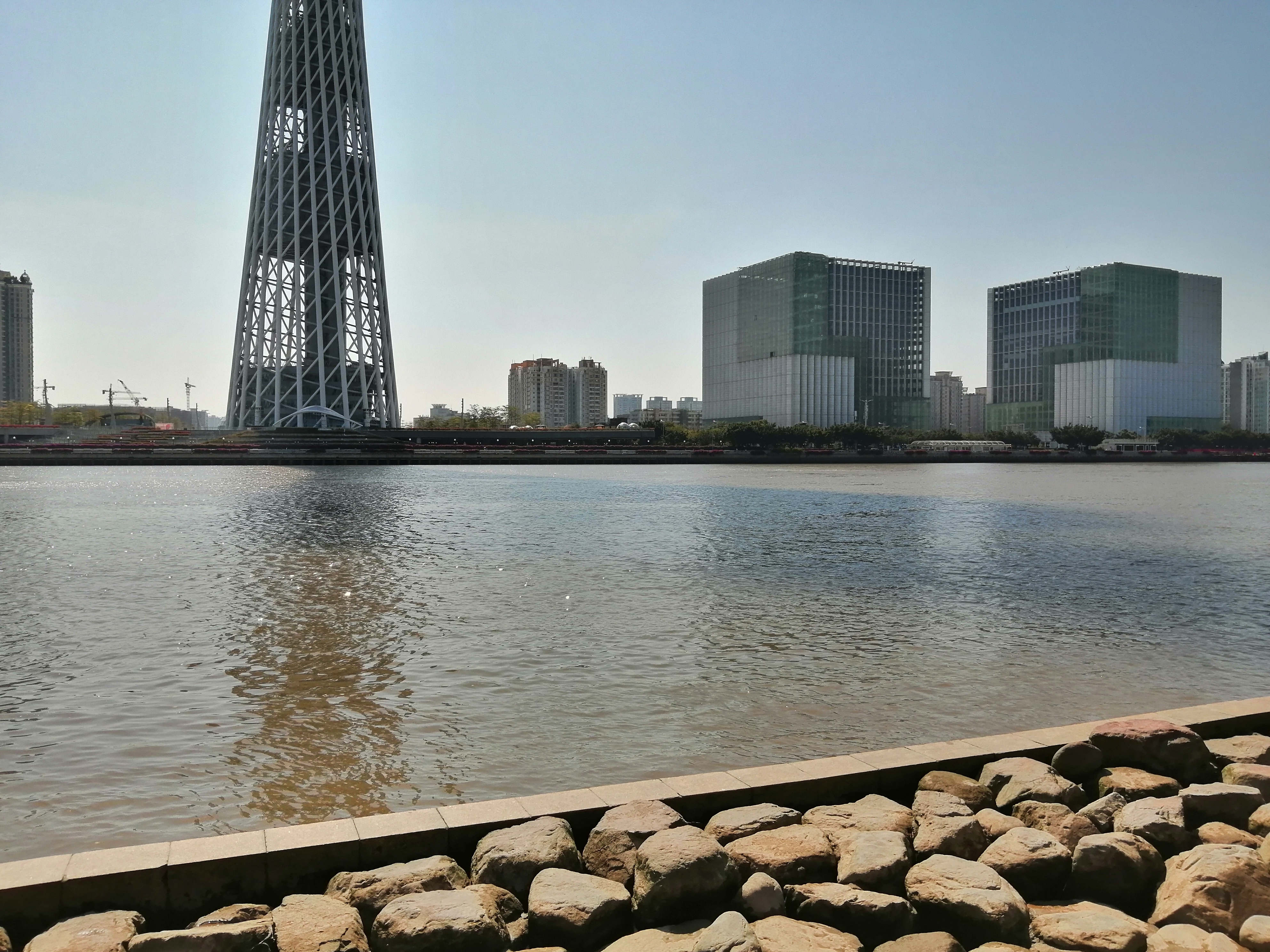 广州海心沙亚运公园广州塔格桑花,游广州海心沙公园