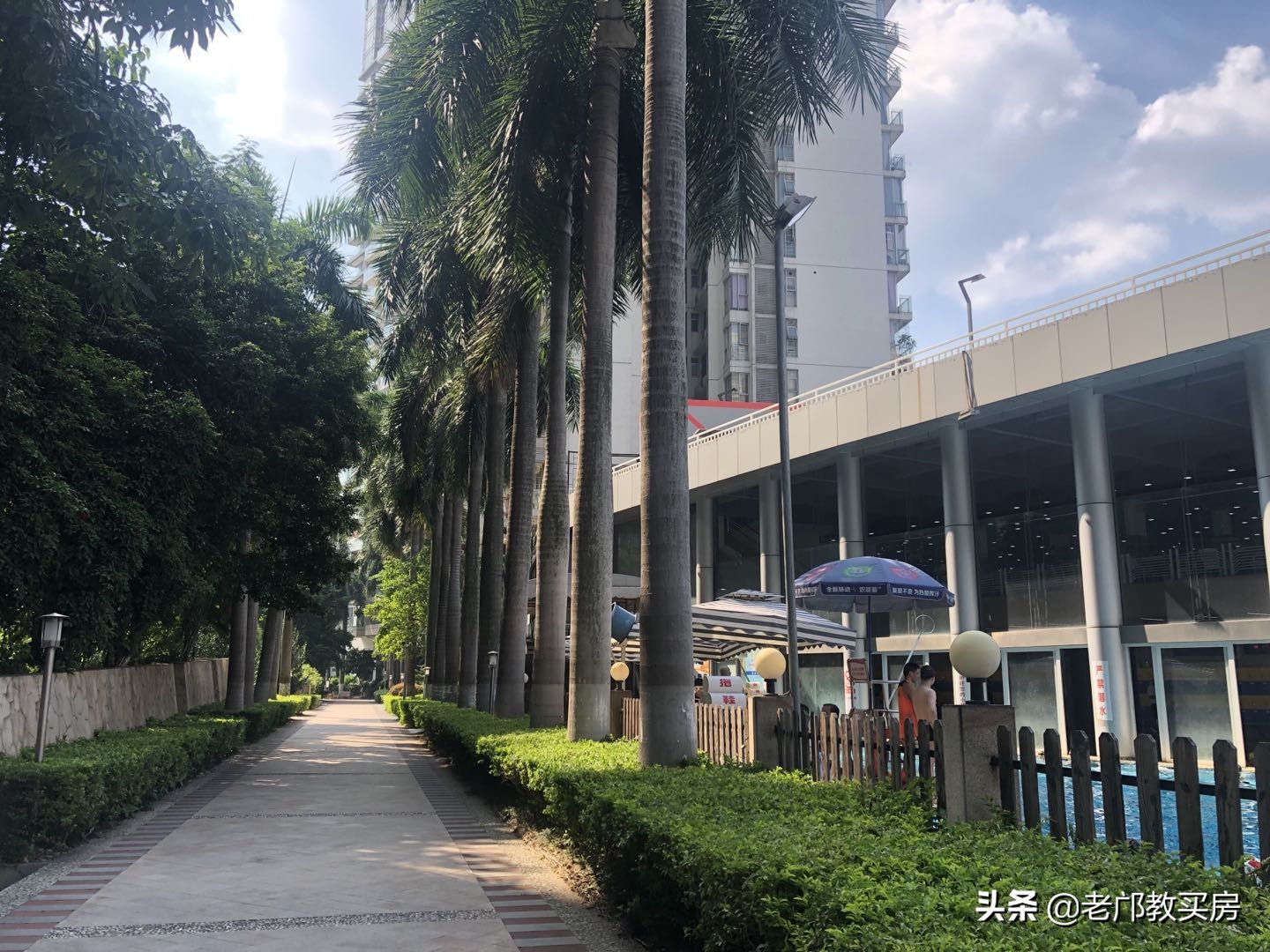 实验小学被打事件,实验小学发飙现场