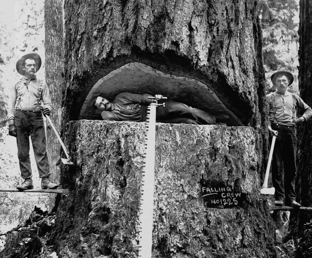 whitesboots工装靴尺码选择,whitesboots小白工装靴高度选择