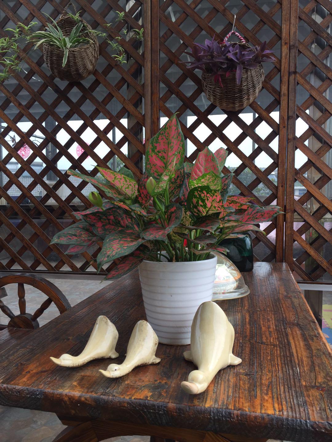 江阴人少景美,江阴有哪些人文景观