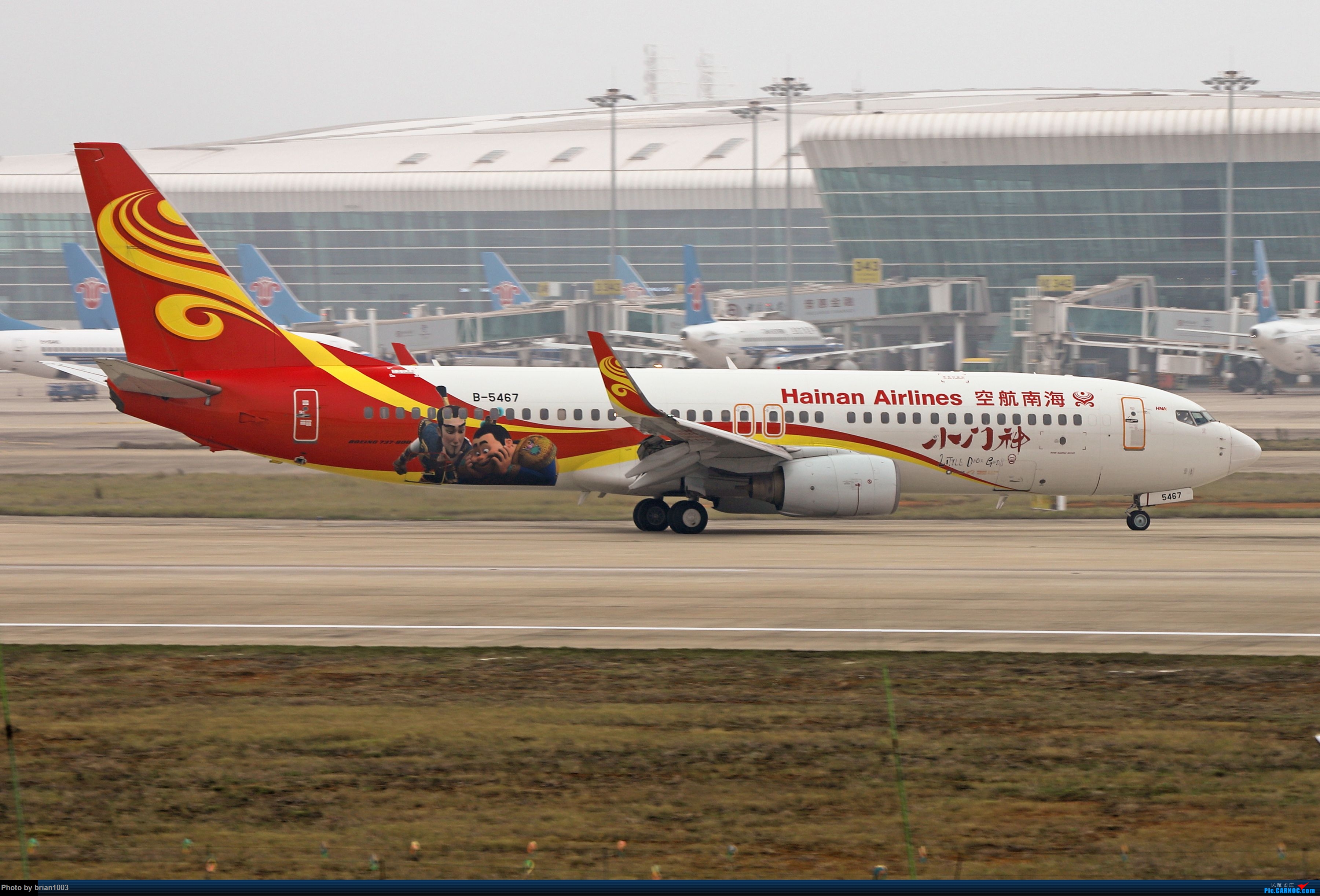 海南航空彩绘机价格,海南航空所有彩绘号