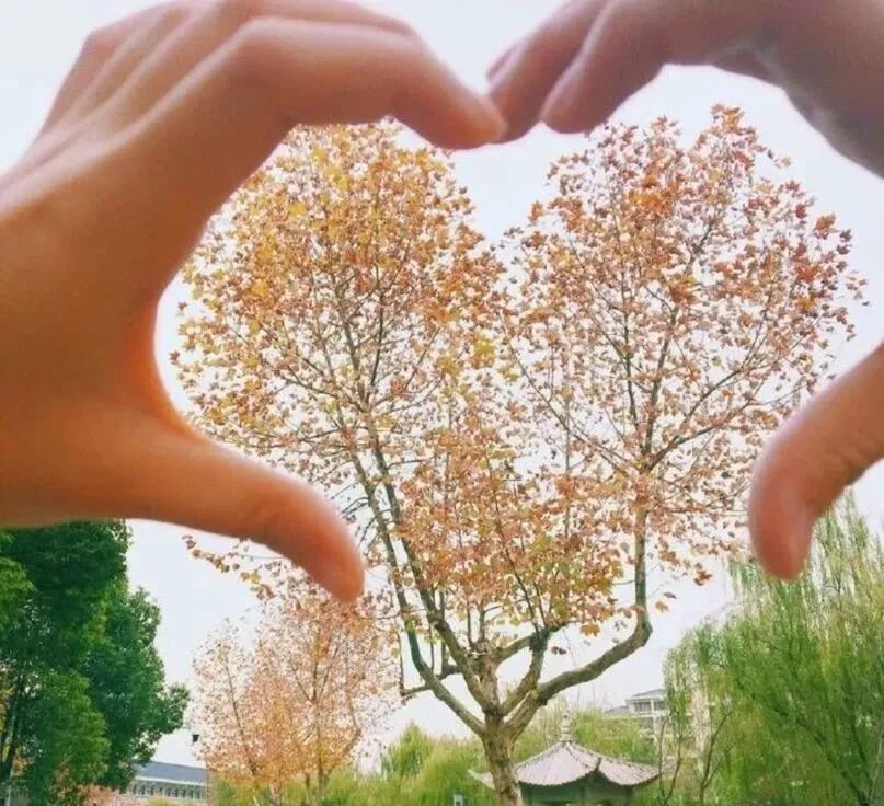 低调的南京图片,低调的南京