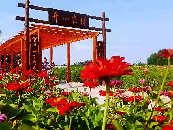 宁夏最美的乡村路线,宁夏最美村落