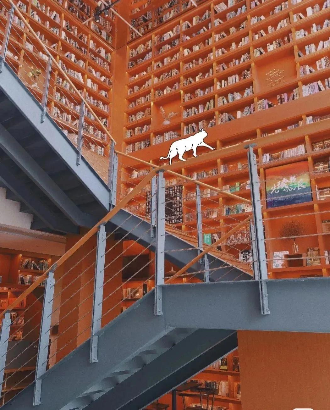 私藏拍照最好的地方,天津适合拍照又安静的地方