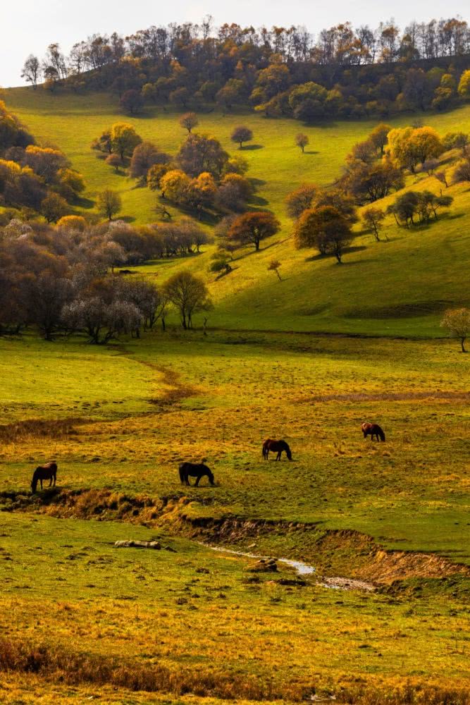 陕西宝鸡，一个特别适合“逆风翻盘”的地方