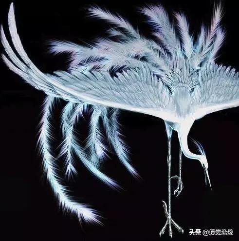 揭秘山海经的所有神兽,山海经75种神兽图片大全