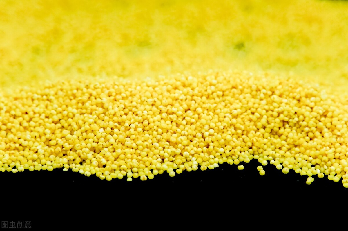 买小米是发黄好还是发白好,买小米怎么挑选才正确