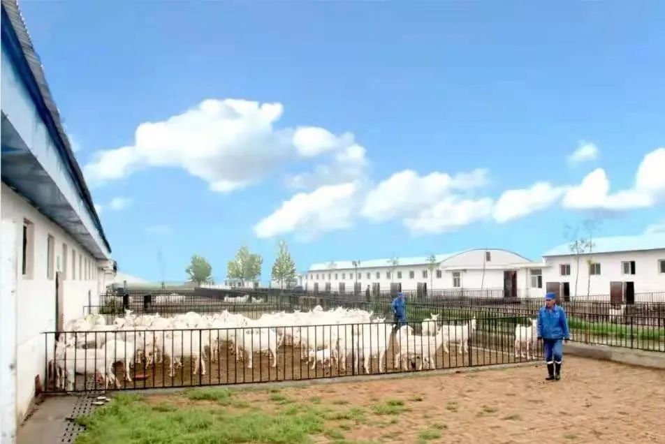 鍦e攼涔充笟鏃呮父,鍦e攼涔充笟鏃呮父瑙嗛