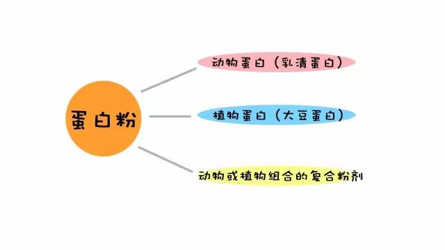 十种优质蛋白你一定要知道,蛋白营养前后对比