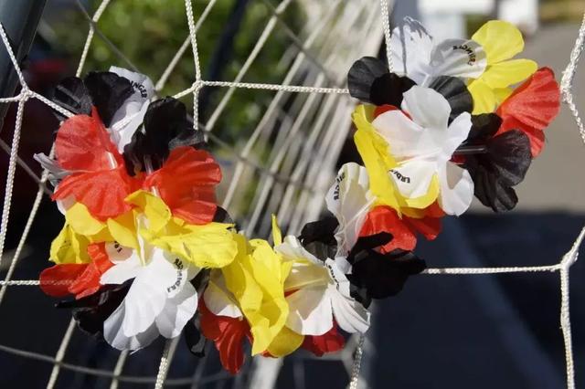 德语专业值得学吗,德语实用吗