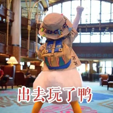 在哪里考雅思便宜,雅思考7分算好成绩吗