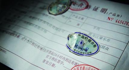 怎么带宠物鹦鹉出去旅游,带鹦鹉出去玩前需要做好哪些准备