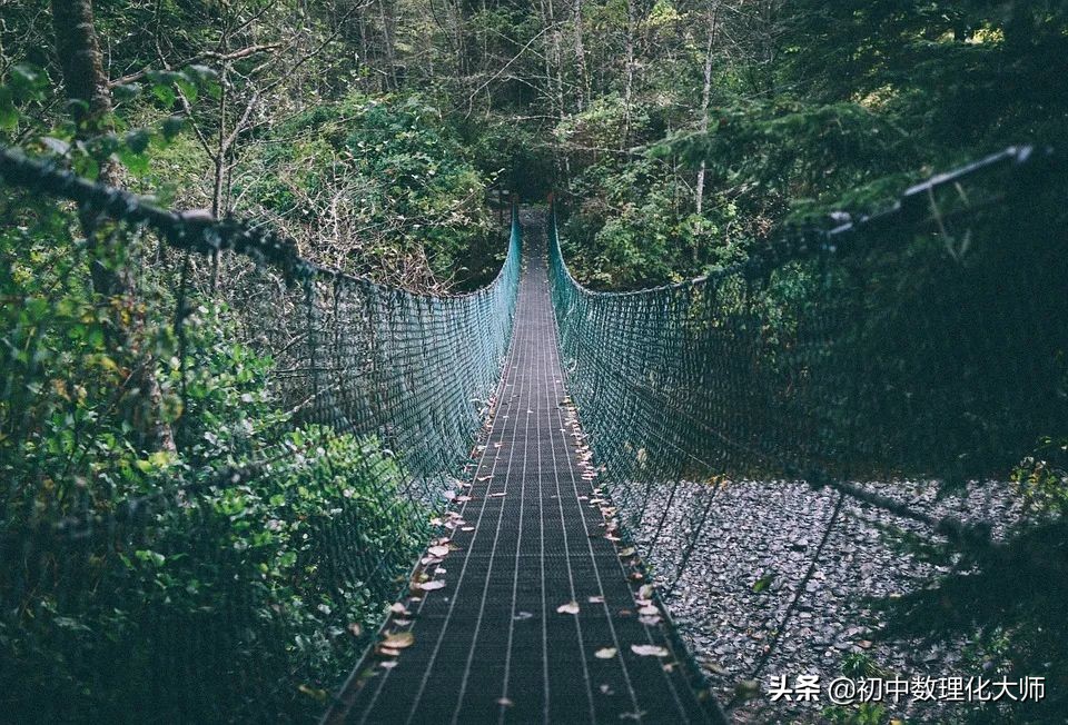 平面直角坐标系下的图形变换,初中数学坐标系中图形规律题