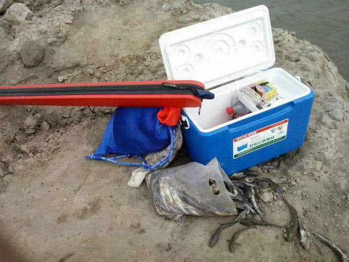 它一生只活一年，我们叫它“扔巴鱼”