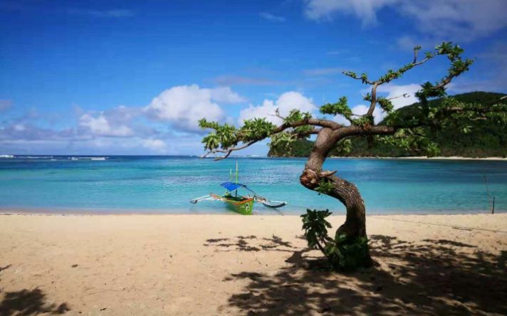 圣卡洛斯大学生留学条件,圣卡洛斯大学博士毕业要求