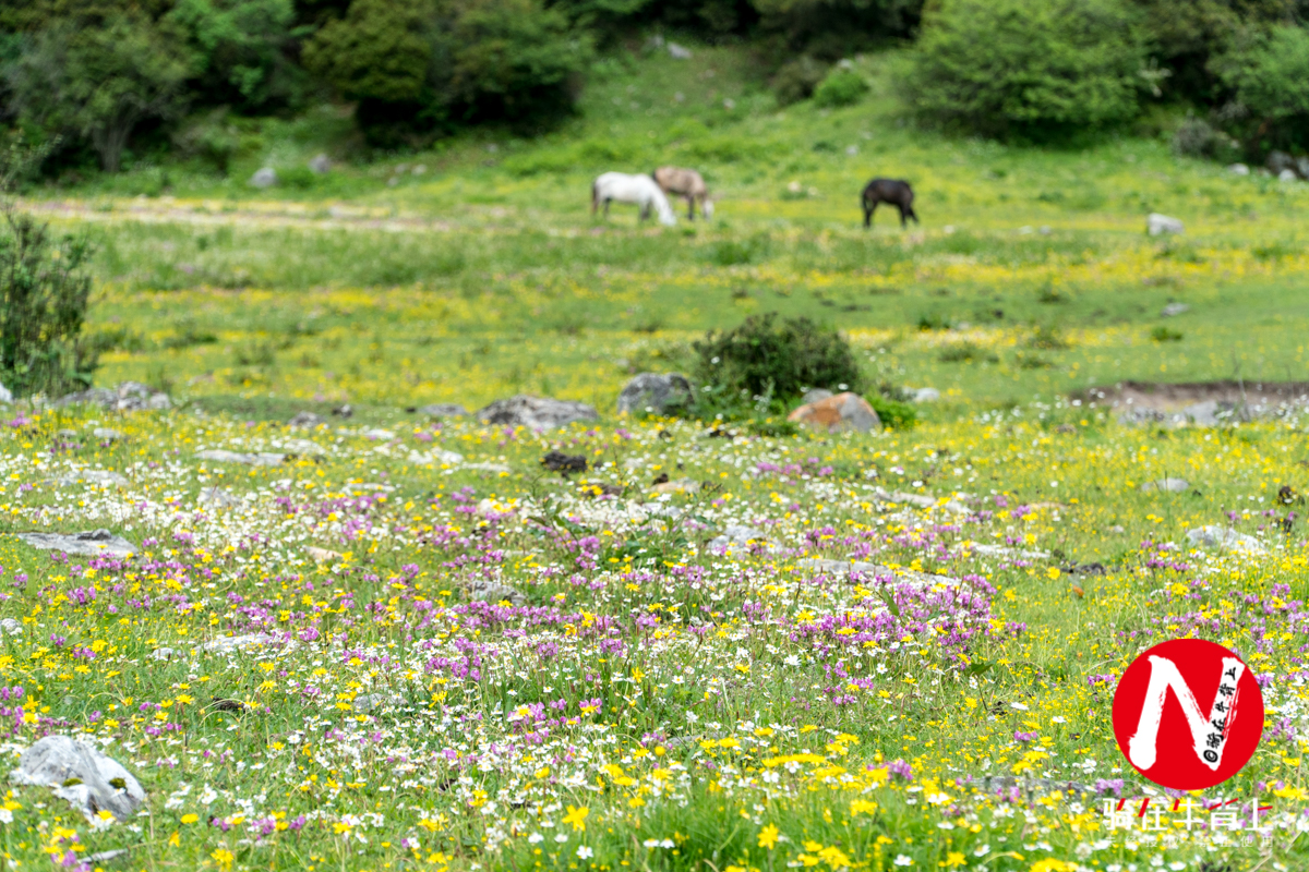 康定木格措旅行方法,四川木格措附近旅游攻略