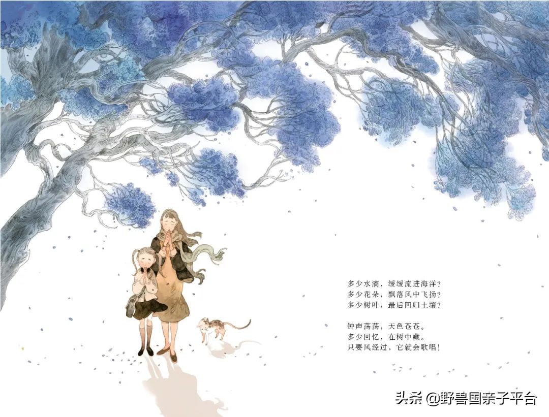 读小库系列书如何,读小库书怎么样