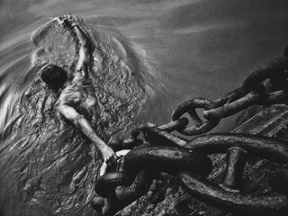 苹果年度最佳照片,iphone拍出来的照片有多惊艳