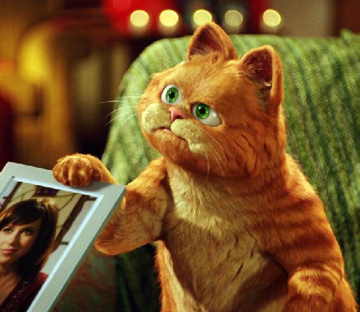 你是否也是猫奴呢？这只好吃懒*爱做**欺负其他动物的肥猫你还记得吗