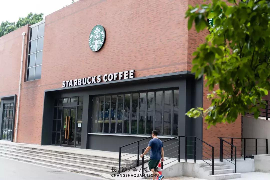 长沙最青春公交，串联6所大学的记忆