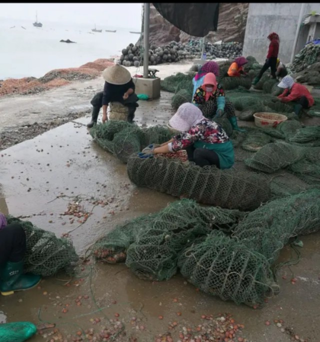 带你走进沭阳的马尔代夫,带你去看来自中国的马尔代夫