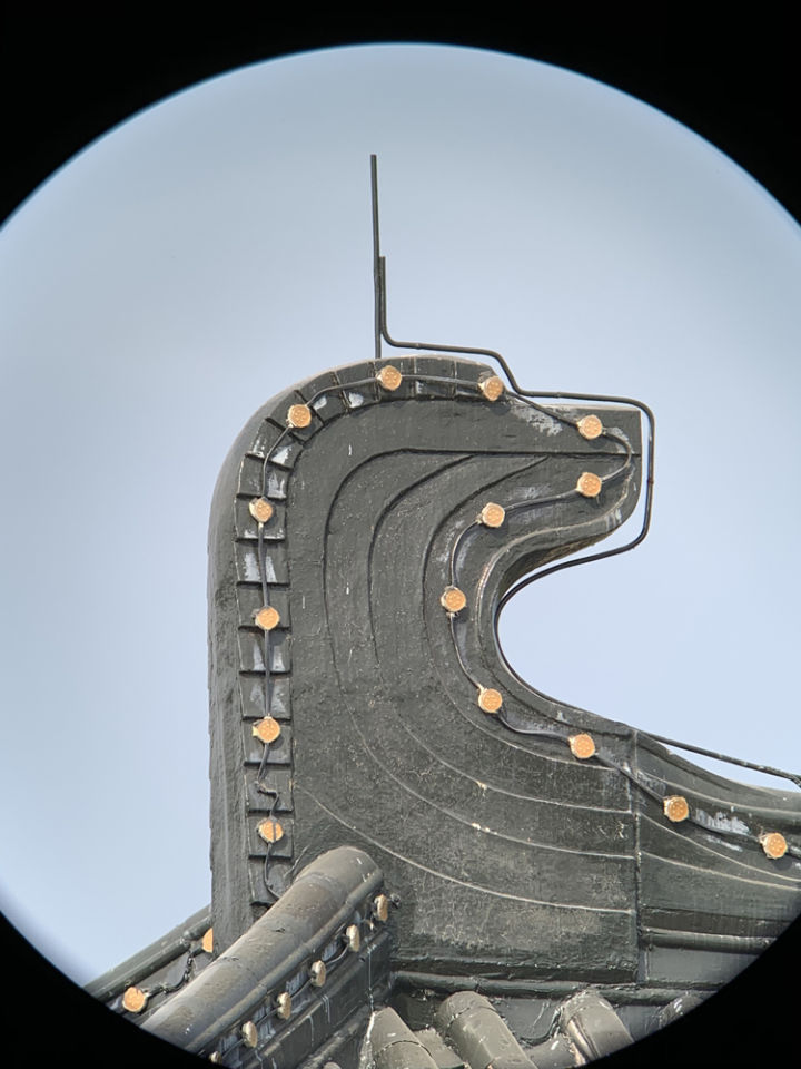 森林人单筒手机望远镜测试,iphonexr手机望远镜