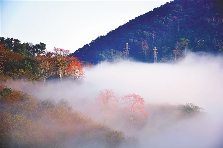 海南白沙黎族自治县发展,海南中国最美乡村