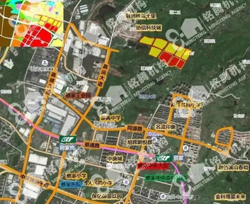 蔡家什么时候才开始有起色呢？2021年是个节点。