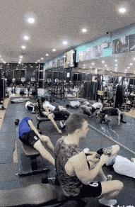 这两位大哥真牛，不知这树还能让他们爽多久