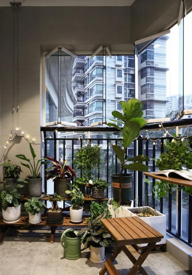 适合懒人家庭种菜100种,家里种菜这3种就够了