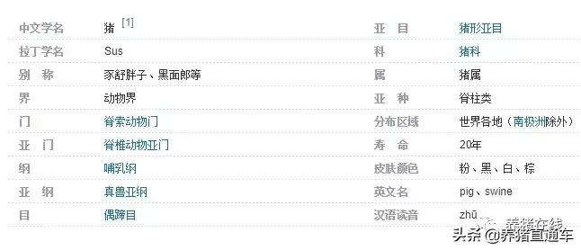 国内生猪品种大全,中国17个生猪品种