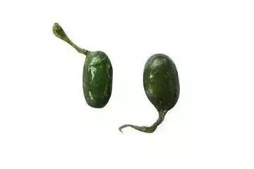 28岁小伙癫痫16年，脑子被虫吃了！竟是爸爸给他吃这个珍稀“大补”！