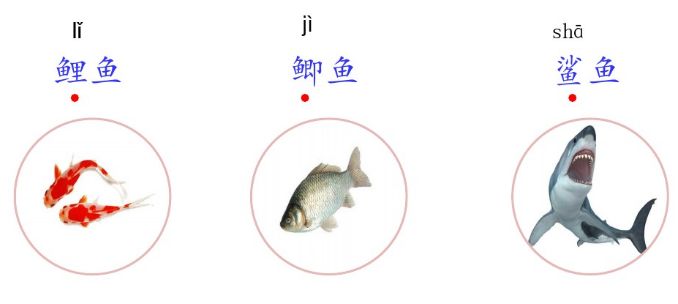 部编版小学语文上册课后习题答案,小学三年级上册语文5.3全优卷答案