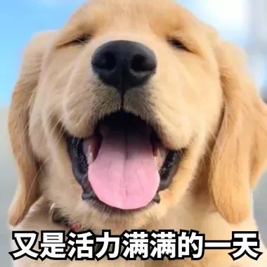 丁浩教学完整版,丁浩创作原声