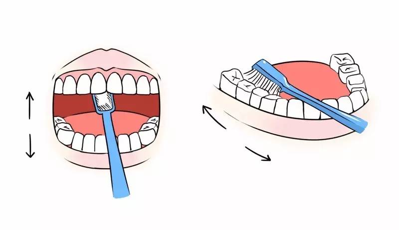 为什么使劲吸牙齿就会出血,为什么用力一吸就出血