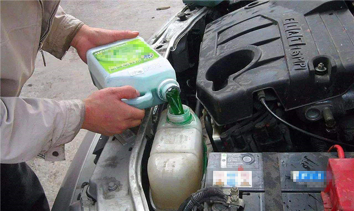 猫咪喝了防冻液会死吗,猫咪吃了防冻液什么症状