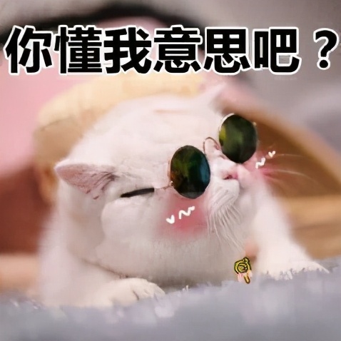 气质女生适合戴什么首饰,施华洛世奇粉色蓝色哪款好看