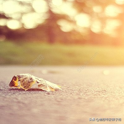 真心这东西本就难遇,真心这种东西能够拥有多久