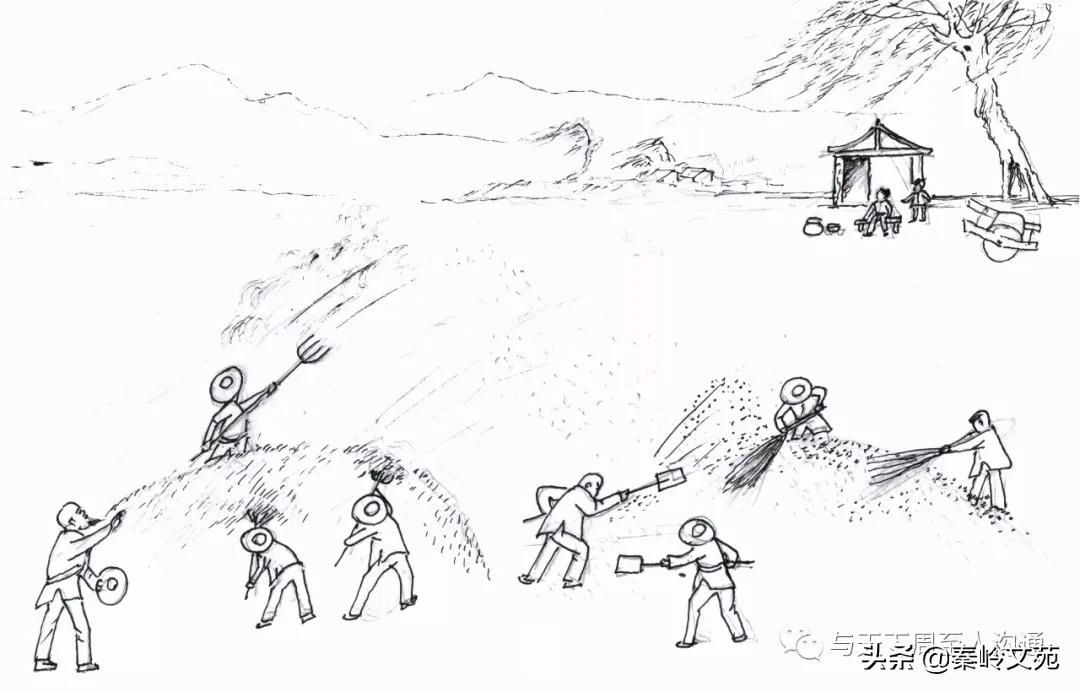 赵科第:乡村记事——收麦那些事儿