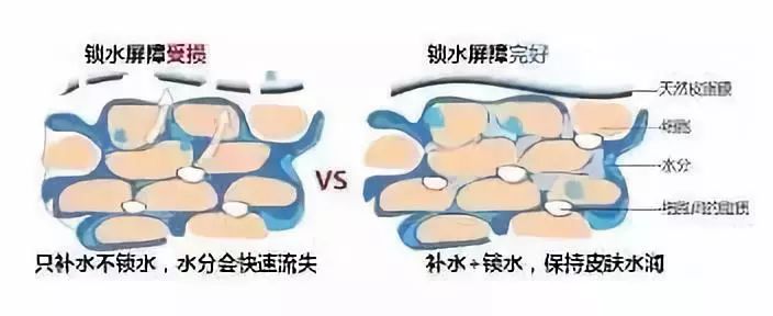 艾多美洗面奶的功效与作用,艾多美洗脸视频